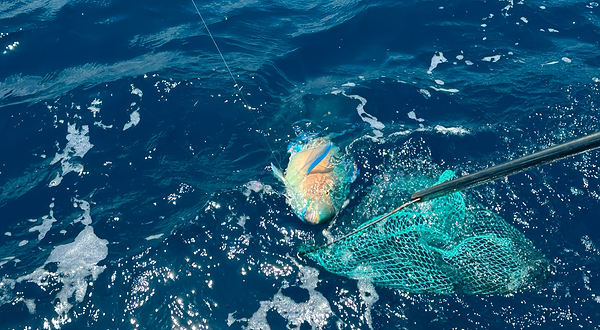 三亚游艇海钓俱乐部