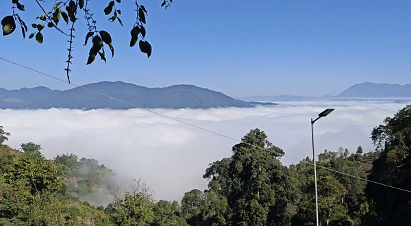 基诺山漫云端雨林徒步
