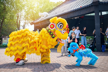 淹城春秋乐园第 103 张图片