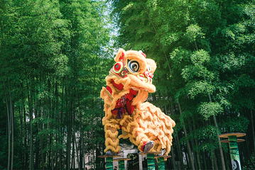 天目湖南山竹海第 20 张图片