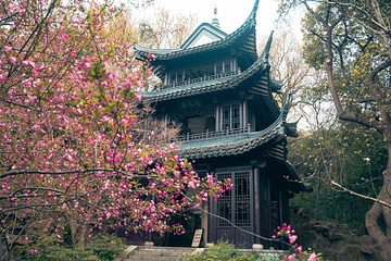 龙头渚风景区第 16 张图片