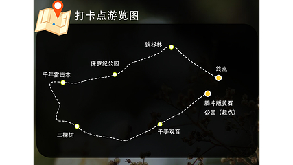 高黎贡山南段西支线毛毛球原始森林第 3 张图片