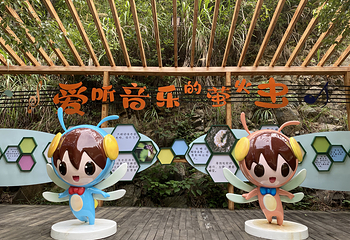 千岛湖酉坞里萤火虫主题公园第 14 张图片
