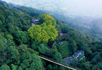 蒙顶山第 78 张图片