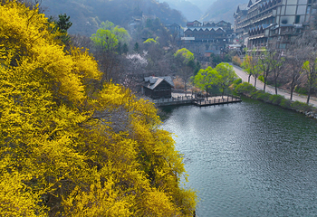 九如山休闲旅游度假区第 169 张图片