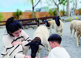 回巢 Homing 荒野沙漠农场园区