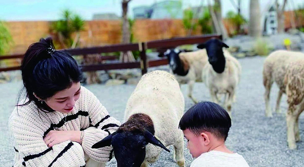 回巢 Homing 荒野沙漠农场园区