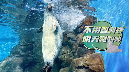 上海海洋水族馆第 116 张图片