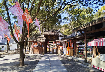 琴溪香谷景区第 4 张图片