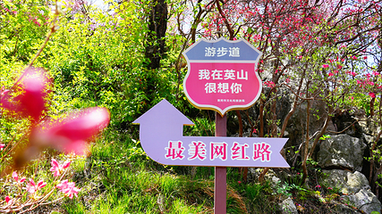 英山县天马寨风景区第 45 张图片