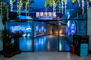 海合安武汉极地海洋公园第 232 张图片