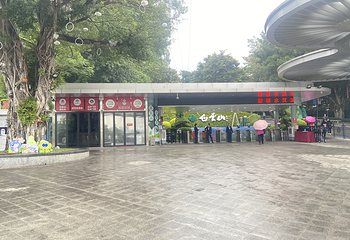 云山丛林飞跃乐园第 73 张图片