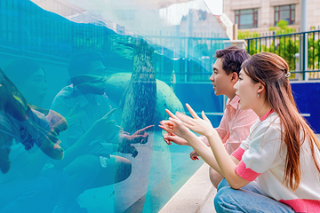 海合安天津极地海洋公园第 48 张图片