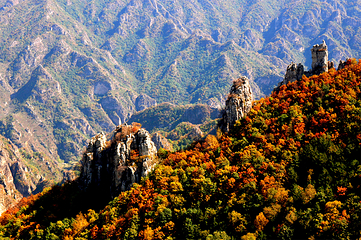 白石山世界地质公园第 99 张图片