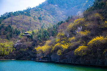 九如山休闲旅游度假区第 234 张图片
