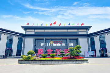 盛世闻樱旅游景区第 1 张图片