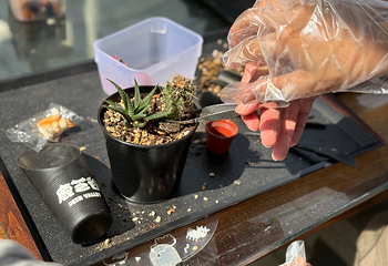鹿芝谷第 5 张图片