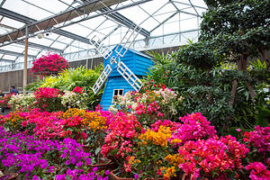 南宫五洲植物乐园