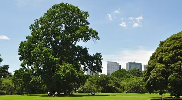 新宿御苑