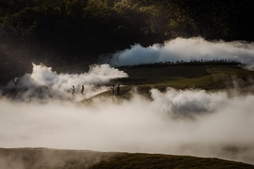 Khao Yai Art Forest第 10 张图片