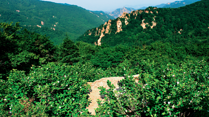 祖山风景区第 143 张图片