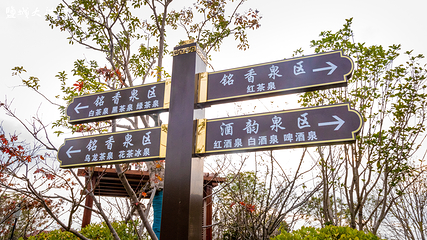 大洋湾生态旅游景区第 76 张图片