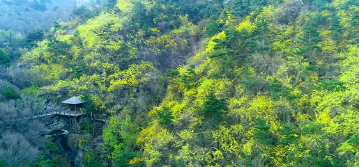 九如山休闲旅游度假区第 204 张图片
