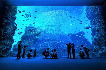 仙台海洋森林水族馆第 6 张图片