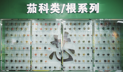 广东航天农业科技生态园第 76 张图片