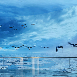 鄱阳湖吴城候鸟小镇