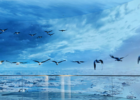 鄱阳湖吴城候鸟小镇