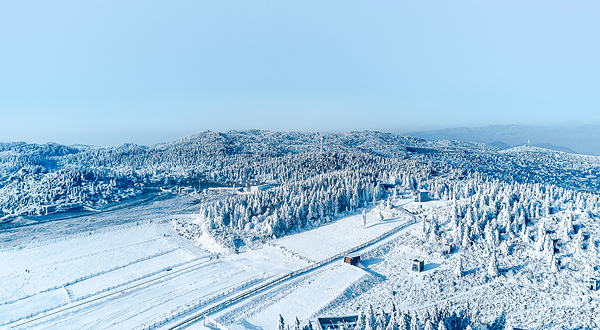 仙女山国家森林公园