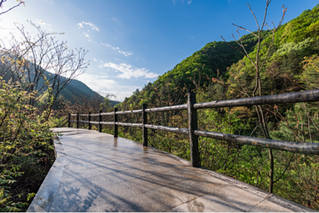 秦岭江山景区第 16 张图片