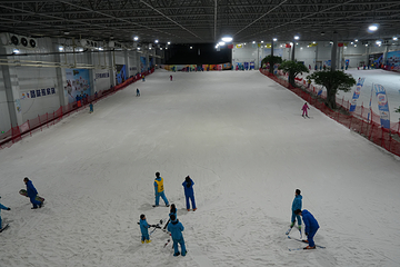 三只熊冰雪王国第 19 张图片