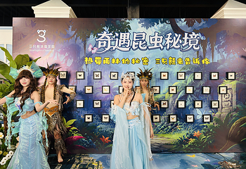 三只熊冰雪王国第 1 张图片