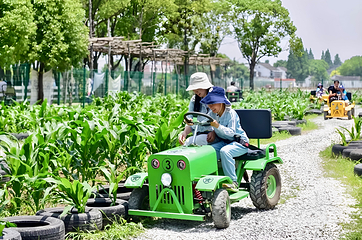 小灶村体验农场第 8 张图片