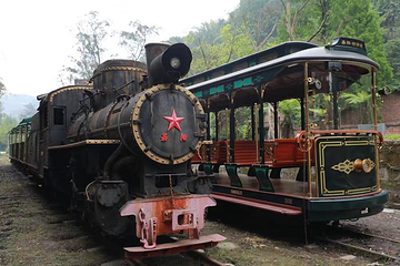 嘉阳桫椤湖旅游景区第 12 张图片