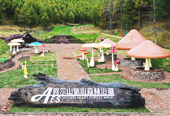 阿尔山氧心森林浴道景区第 1 张图片