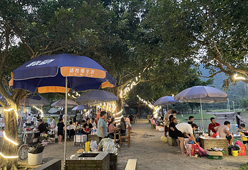 天龙溪自然风景区第 33 张图片