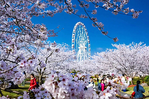 顾村公园自然谷恐龙乐园