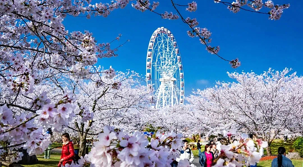 顾村公园自然谷恐龙乐园