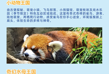 奥韦柯酋第 298 张图片
