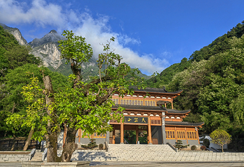 秦岭天竺山生态文化旅游景区第 18 张图片