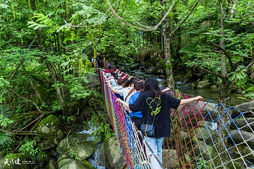 西溪磐石大峡谷第 13 张图片