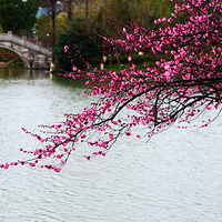 超山风景名胜区