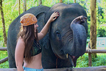 普吉岛奈迪大象保护营第 13 张图片