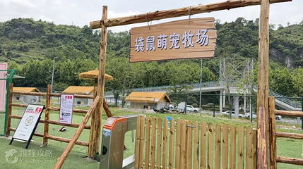 袋鼠萌宠牧场第 3 张图片