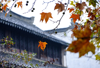 黎里古镇第 9 张图片