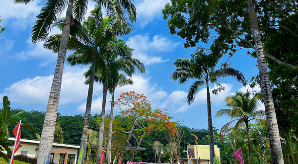 七仙岭全球热带水果博览中心