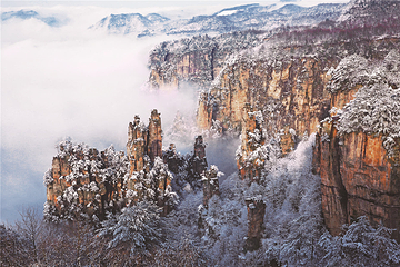 张家界国家森林公园第 69 张图片